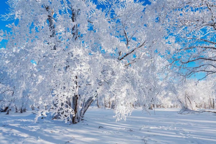 在四方頂邂逅“冰雪奇緣”