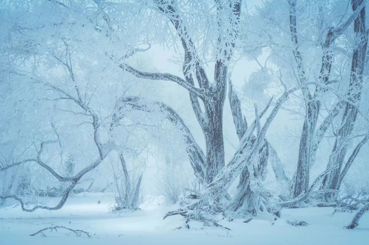 在四方頂邂逅“冰雪奇緣”