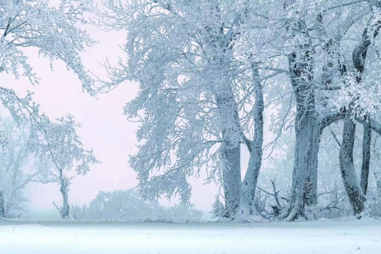 在四方頂邂逅“冰雪奇緣”