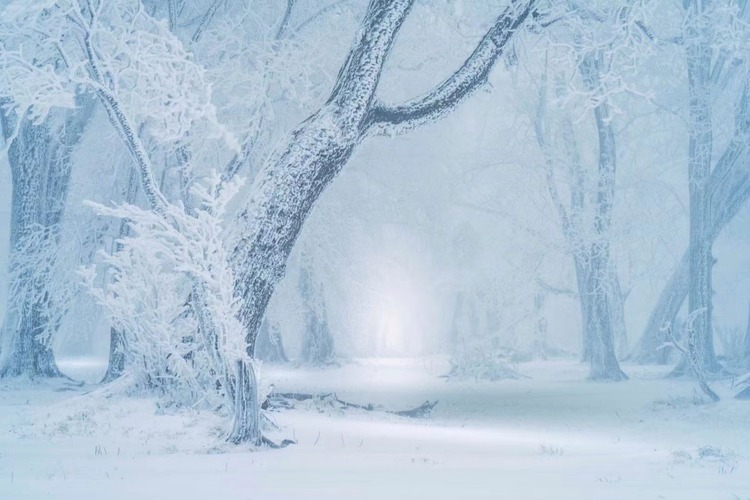 在四方頂邂逅“冰雪奇緣”