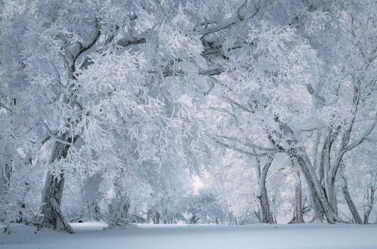 在四方頂邂逅“冰雪奇緣”