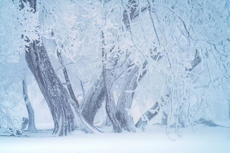 在四方頂邂逅“冰雪奇緣”