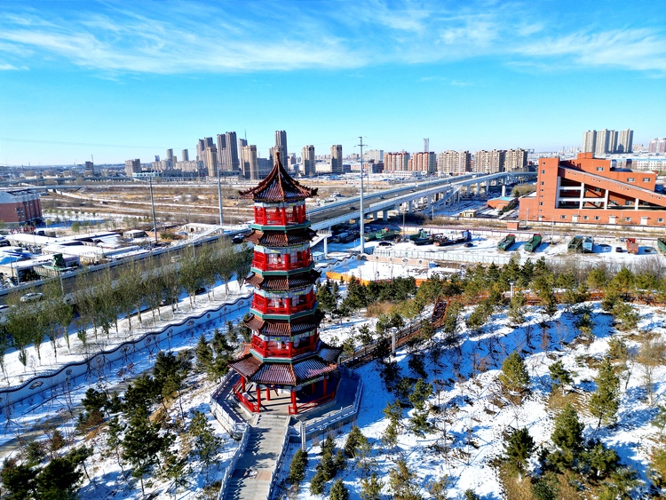 雪後初晴，白城春華園綻放出白色浪漫