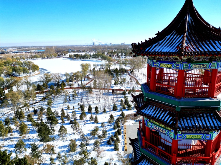 雪後初晴，白城春華園綻放出白色浪漫