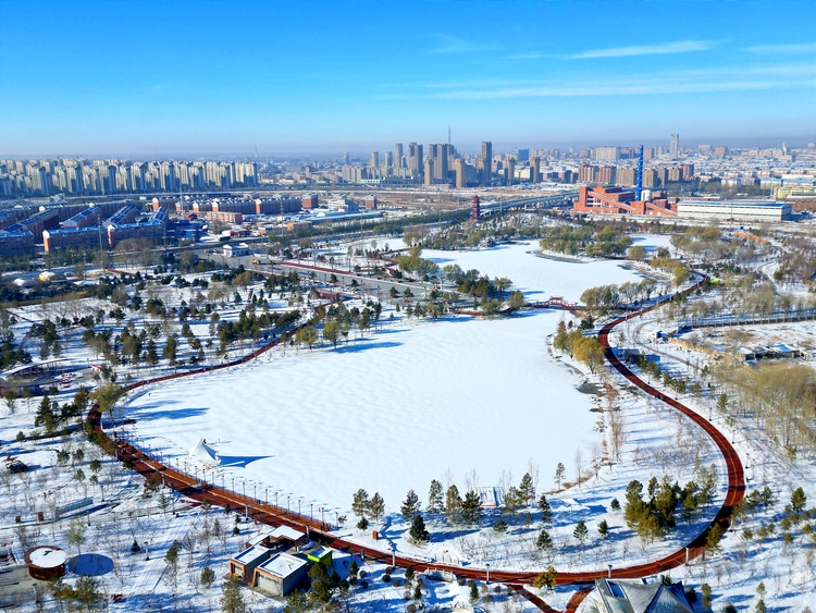 雪後初晴，白城春華園綻放出白色浪漫