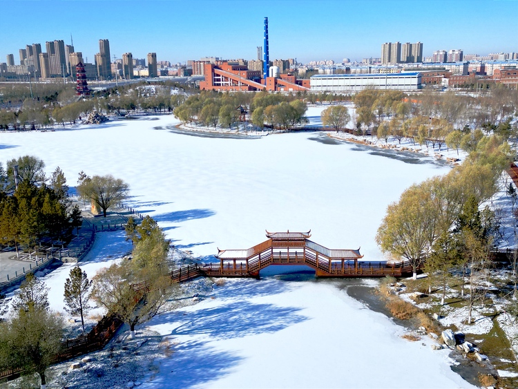 雪後初晴，白城春華園綻放出白色浪漫