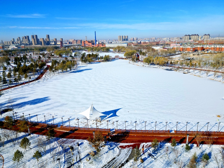 雪後初晴，白城春華園綻放出白色浪漫