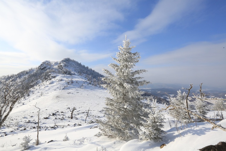 高山霧凇