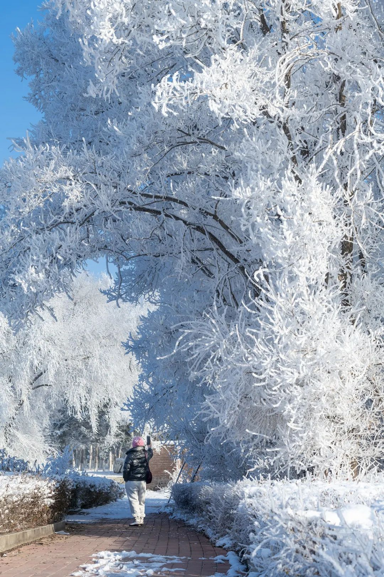 賞凇踏雪 樺甸霧凇美不勝收