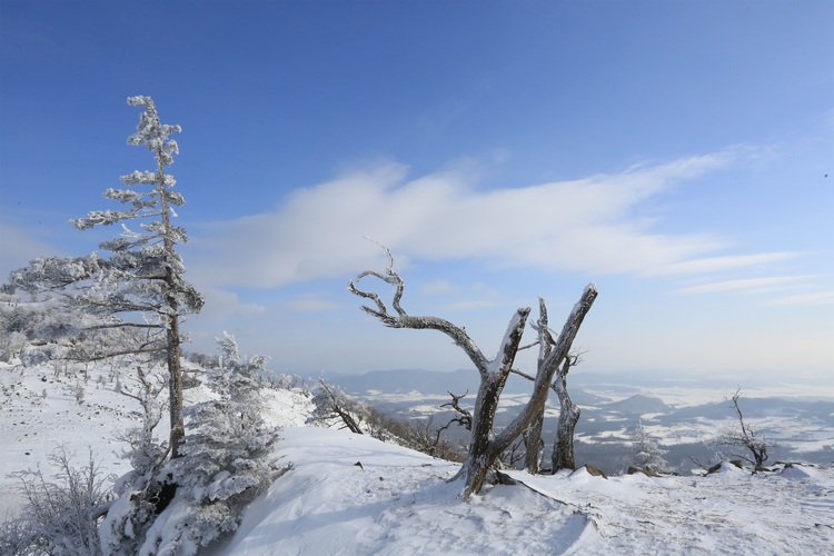 高山霧凇