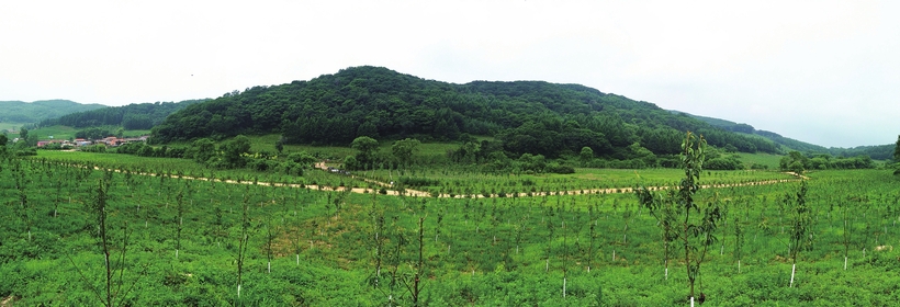 遼源市東遼縣：“身邊變化看得見”