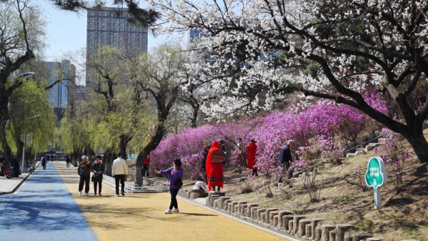 延吉市緣何經常登上熱門旅遊城市榜？