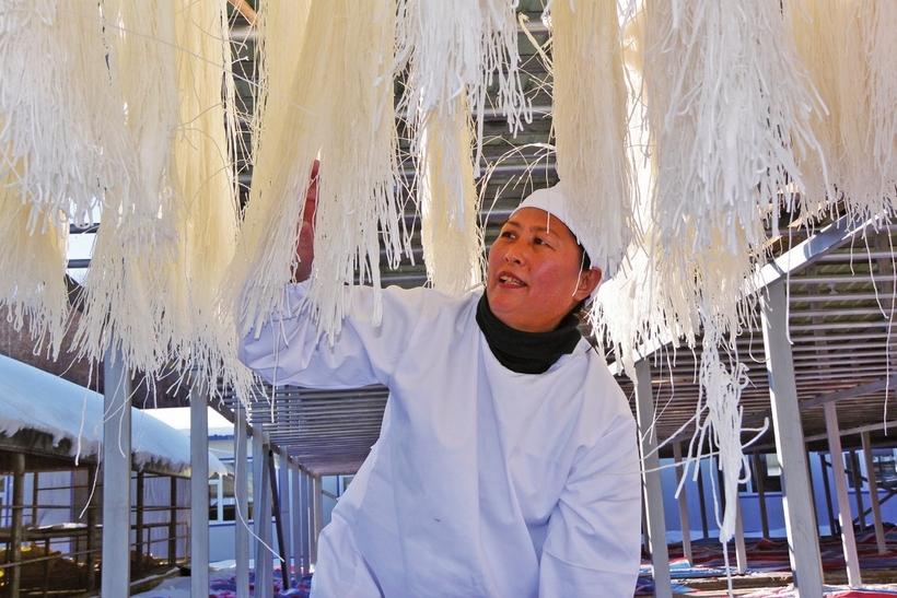 白山市建設中國綠色有機谷·長白山森林食藥城走筆