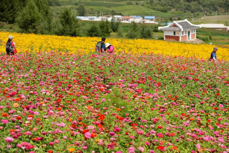 延邊圖們市日光山民俗風情園舉辦采風節