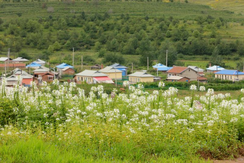 延邊圖們市日光山民俗風情園舉辦采風節