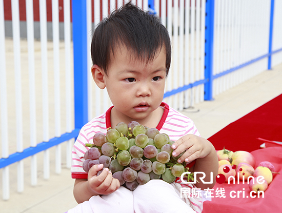 05【吉林】【原創】【CRI看吉林（標題）】【社會民生（圖）】【關東黑土（長春）】【移動版（列表）】【ChinaNews帶圖列表】長春市雙陽區第五屆黑魚葡萄採摘節開幕