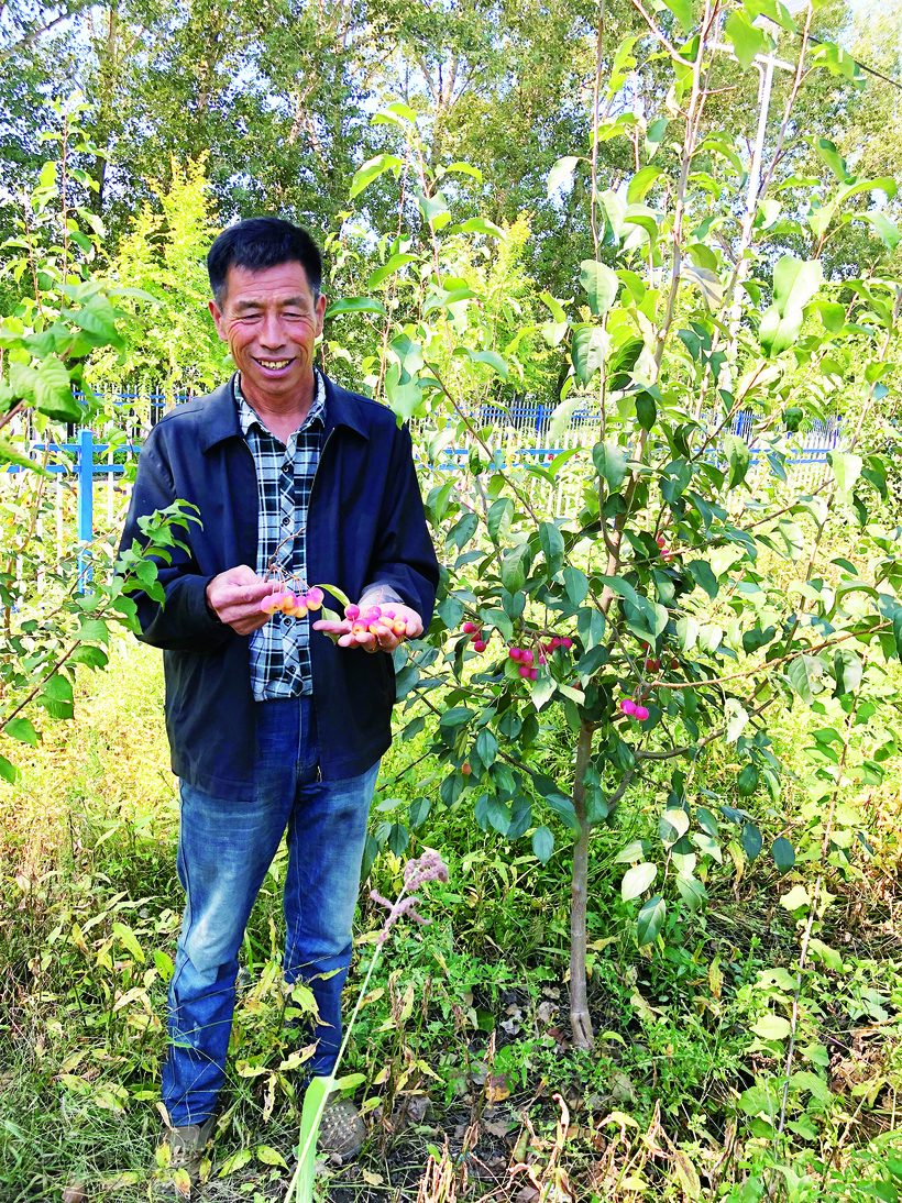 紅果“點亮”雙陽區太平鎮小石村