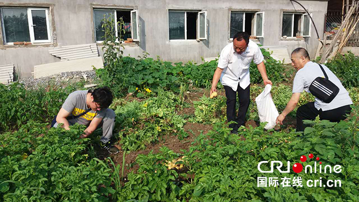 03【吉林】【原創】【CRI看吉林（標題）】【社會民生（標題）】【關東黑土（四平）】【移動版（圖）】【專訪】四平市梨樹縣蔡家鎮姚家村駐村“第一書記”孫海洋：“歸堆兒”幫扶 貧困戶“搭便車”致富