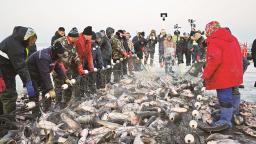 吉林查幹湖冬捕出現“紅網”