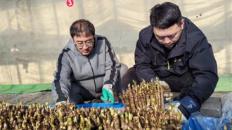 延吉青年生態轉型種出反季致富芽：暖棚藏春味 嫩芽變金枝