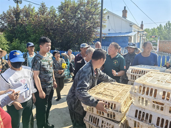 吉林安圖發展“庭院經濟”解鎖農民“增收密碼”_fororder_吉林庭院經濟