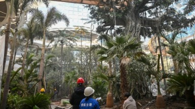 倒計時！長春萬達茂開業進入衝刺階段