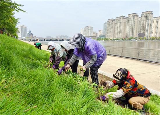 城市顏值再升級 延吉布河景觀提升工程加速推進_fororder_圖片1