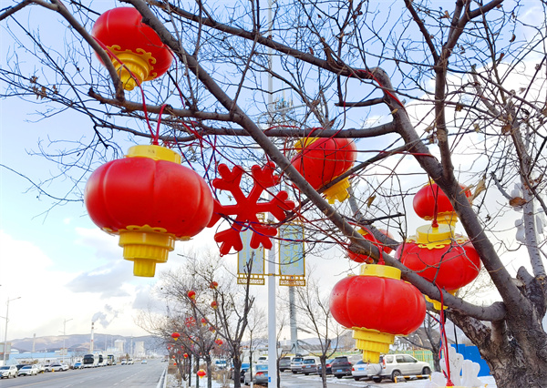 延吉行道樹披彩裝 紅紅火火迎接新年_fororder_吉林行道樹2