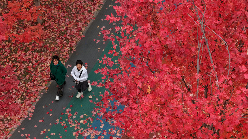 吉林長春：醉美“楓”景上線