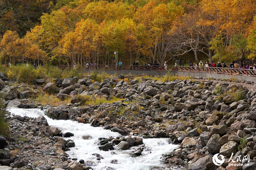長白山迎“醉”美金秋季_fororder_吉林轉載圖9