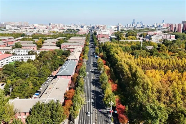 長春汽開區的秋 是硬核的 也是溫柔的_fororder_吉林汽開區4