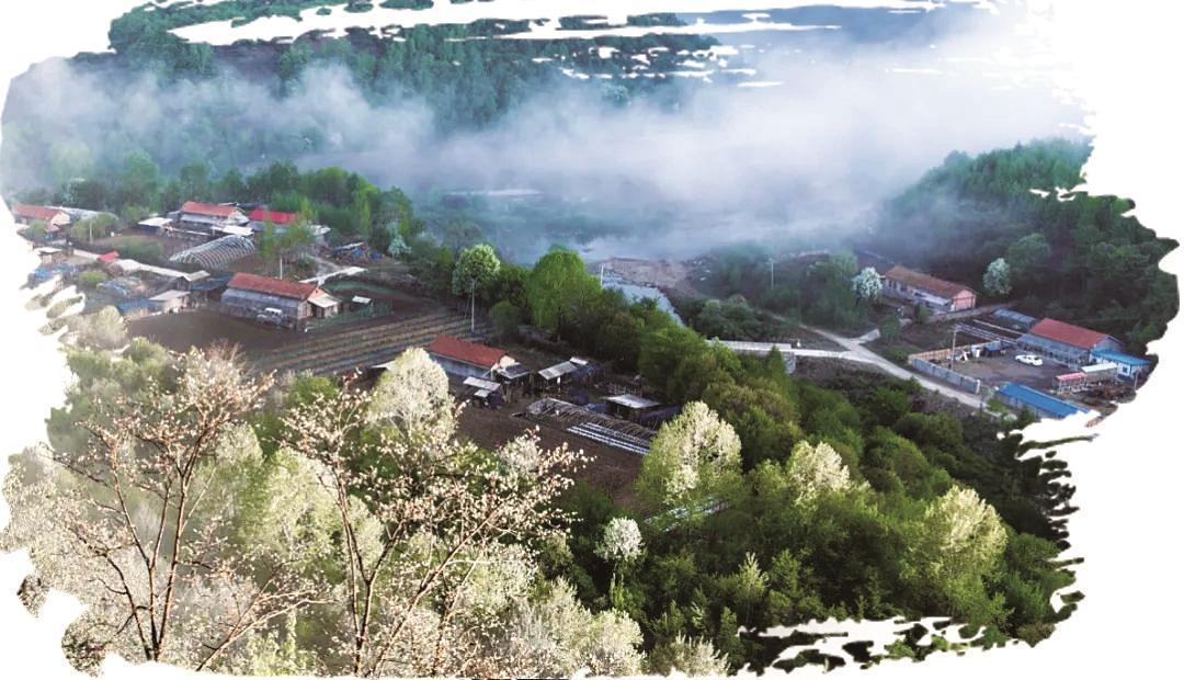 綠野尋芳 春遊白山
