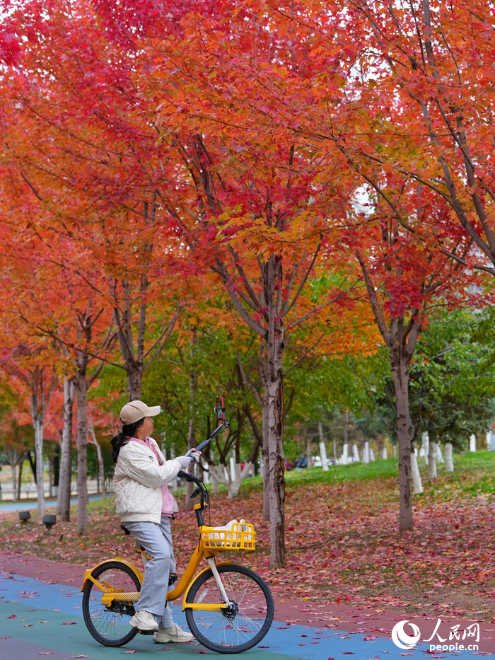 吉林長春：醉美“楓”景上線_fororder_人民網轉載圖3