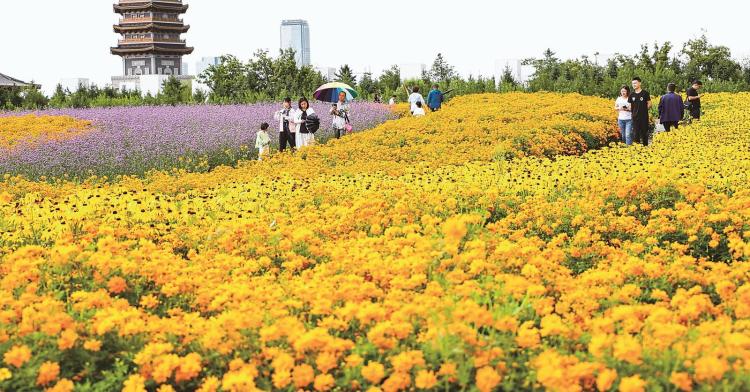 城市“綠肺” 價值幾何