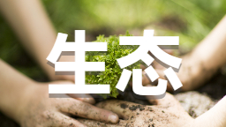 優良天數達98.7% 延吉市“好生態”持續穩定_fororder_生態