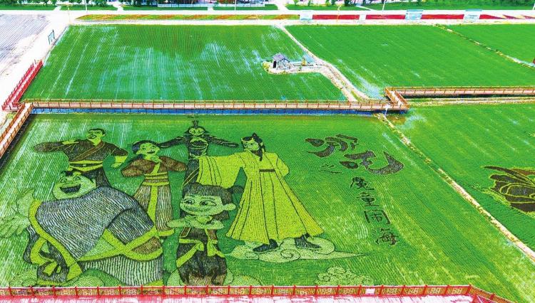 松原市乾安縣：彩稻種出“哪吒”
