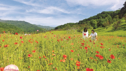 蛟河市：幽芳谷裏賞花海