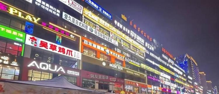 以實幹譜寫奮進新華章——寫在習近平總書記視察延邊十週年之際（中）