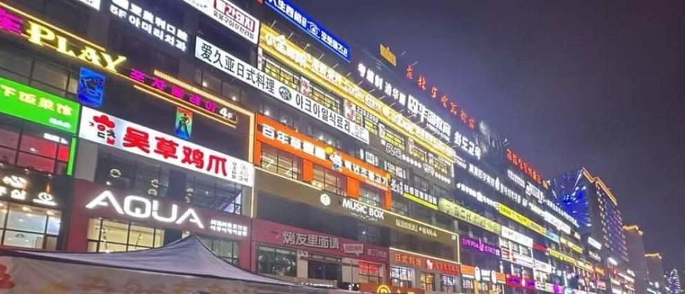 以實幹譜寫奮進新華章——寫在習近平總書記視察延邊十週年之際（中）