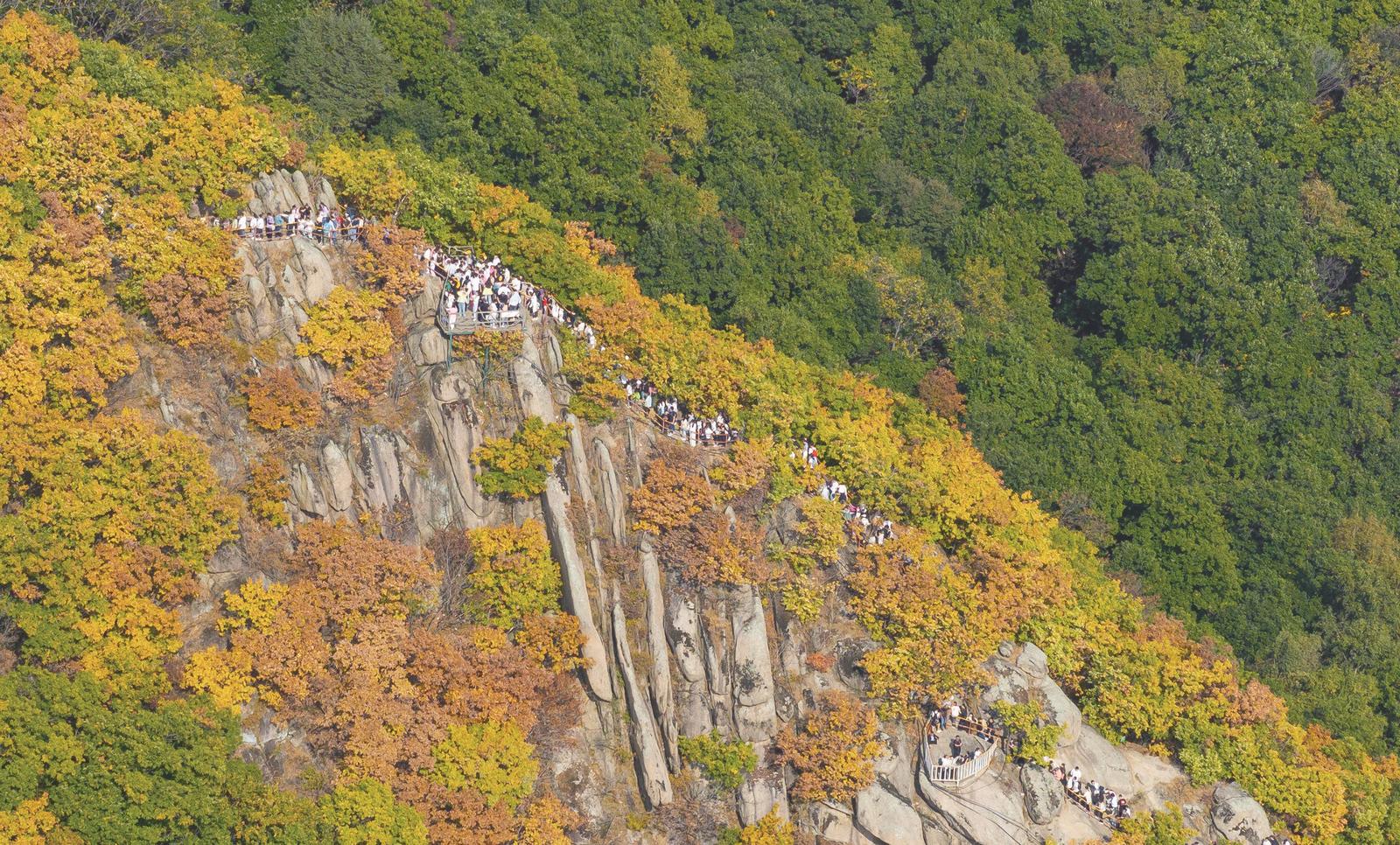 吉林市朱雀山層林盡染