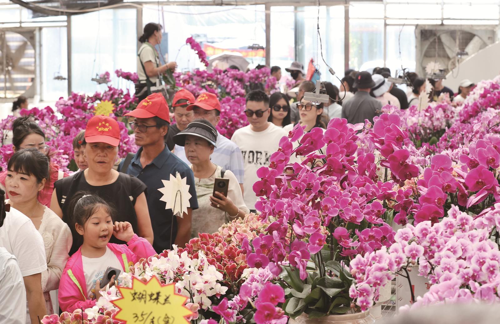 相約金色吉林·第二十四屆長春農博會