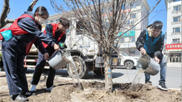 共植生態樹 同建綠美家 50余名延邊青年參加植樹活動