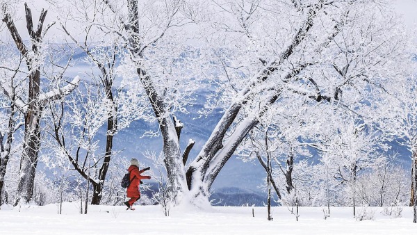 通化市輝南縣迎來大面積霧凇景觀