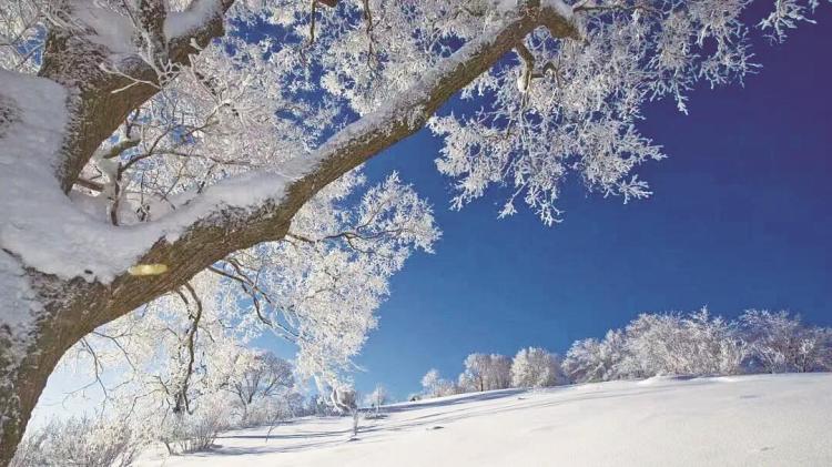 白山冰雪旅遊全面升級