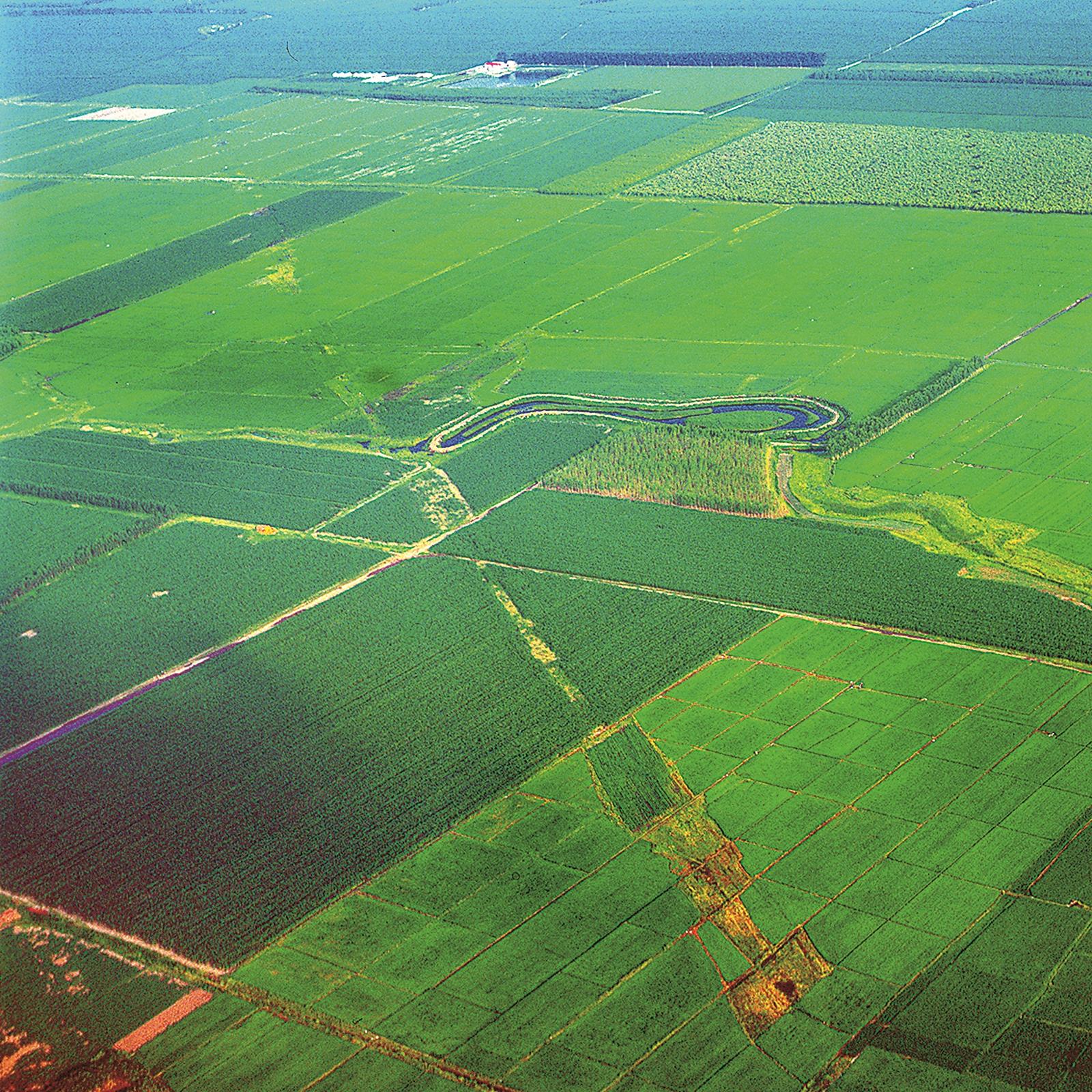 “生態+”：大美吉林 共生共贏