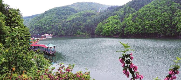 綠野尋芳 春遊白山