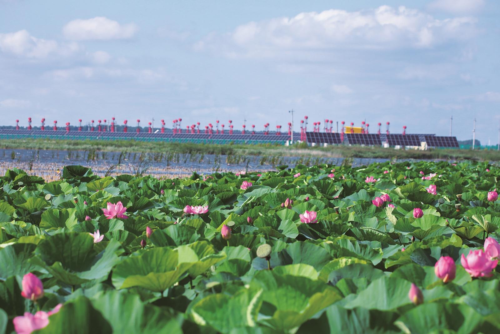 吉林查幹湖：生態美景 邀您入“畫”