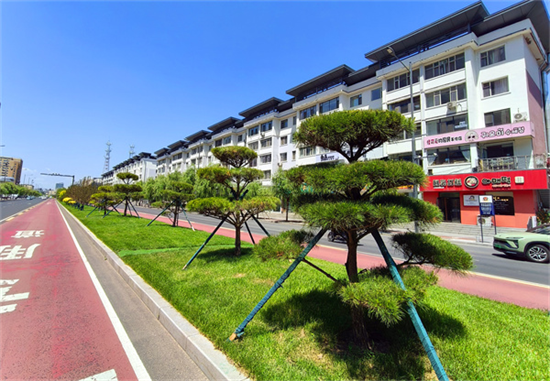 延吉公園路分車帶完成改造升級_fororder_吉林公園路