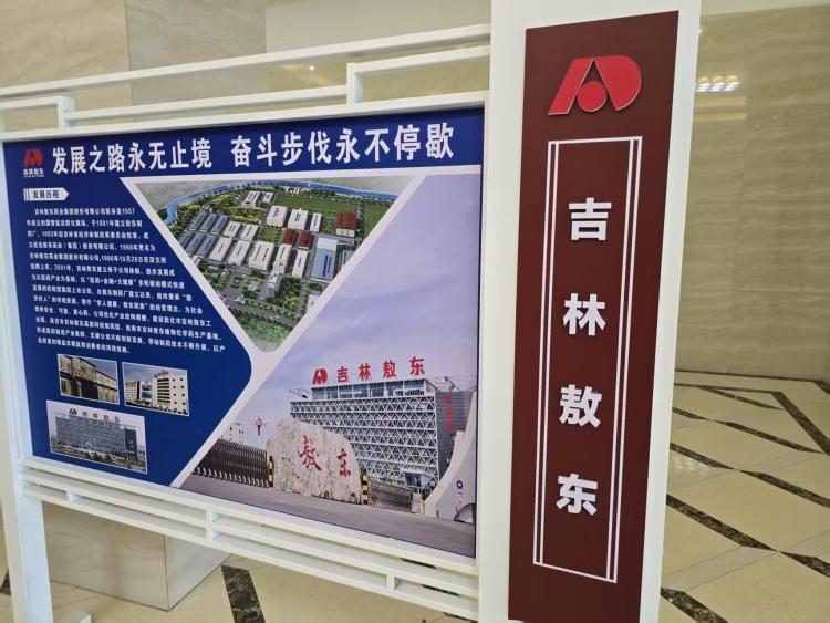 以實幹譜寫奮進新華章——寫在習近平總書記視察延邊十週年之際（中）