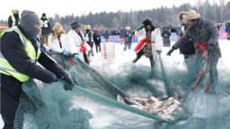 看千年冬捕 品生態凈月 凈月潭首屆“潭魚飛雁”冬捕漁獵系列文化活動開啟